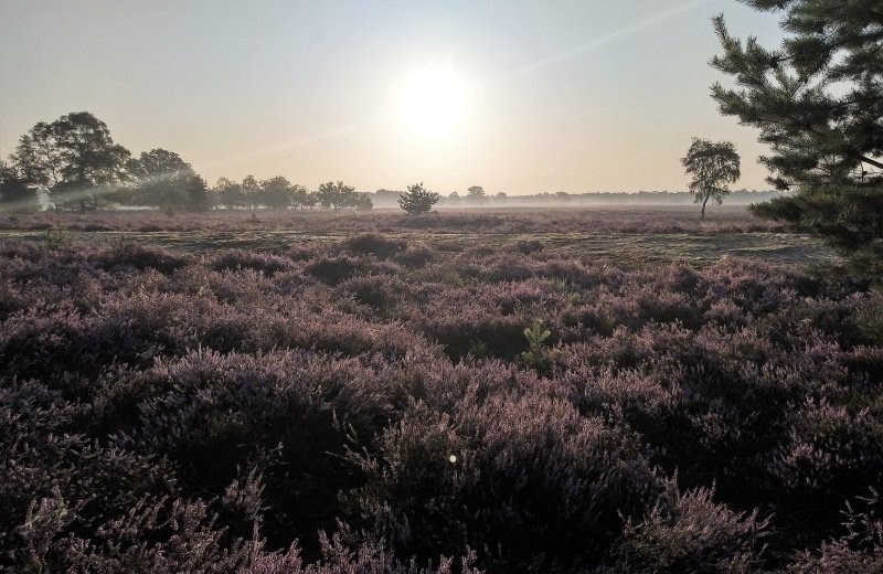 69525272 400785150544473 1101832185721126912 n