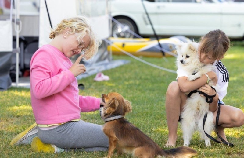 Camperen de bergen45