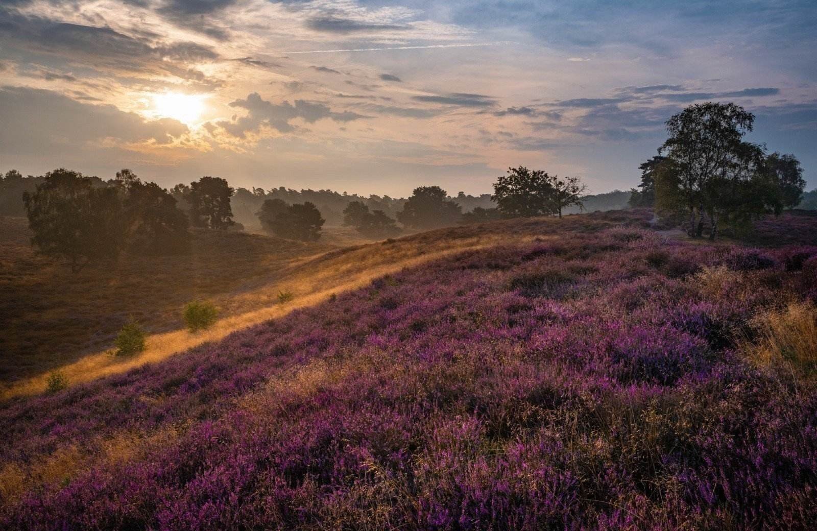 Ausflug in die Mookerheide vom Campingplatz Nijmegen