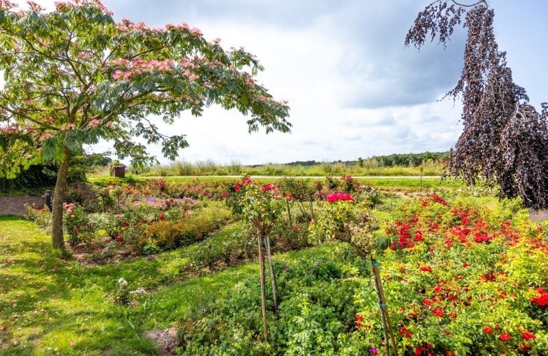 Camping t veerhuys 8803