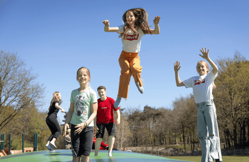 Camping wanroij kindercamping noord brabant