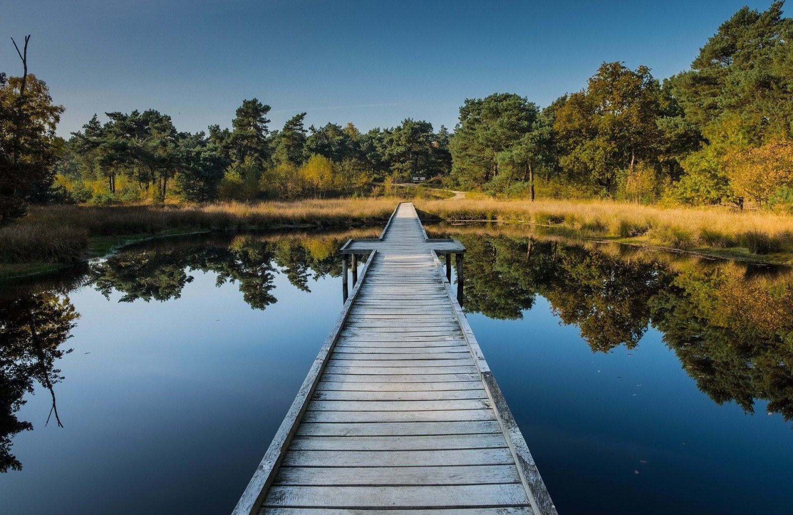 Campingplatz weeze nationalpark 