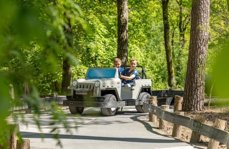 De bergen jungle cars 6