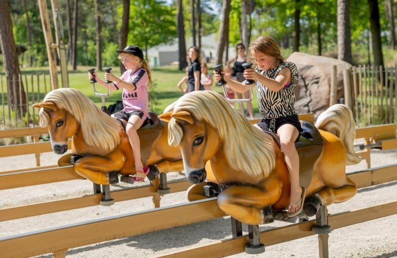 De bergen pony express 3