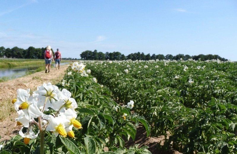 Top 5 activiteiten in Noord-Limburg