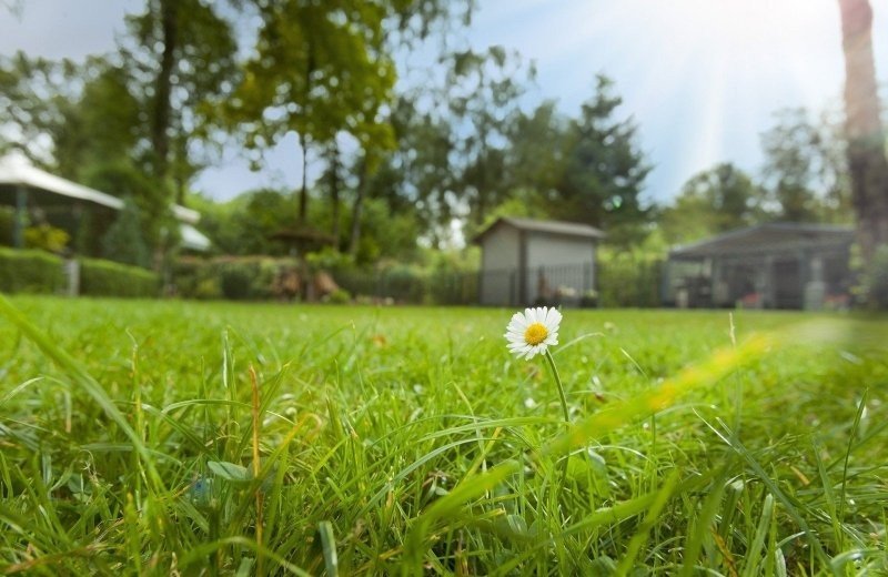 Stellpl&auml;tze auf dem Campingplatz bei Eindhoven 